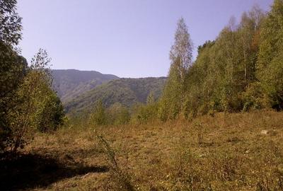 Proprietate rară în inima Retezatului – 5.700 mp teren intravilan - 4