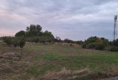 Teren Construcții intravilan de 608 mp, în Dumbrăvița