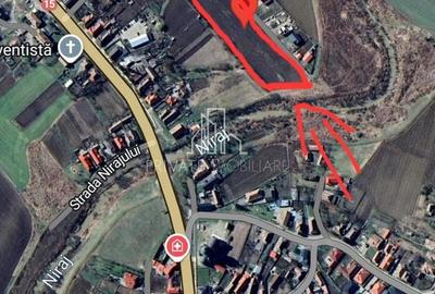 Teren 9 253 Mp Intravilan De Vanzare, ideal pentru Case, Ungheni - 1