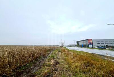 Teren Intravilan | Zona Industriala Vest | 20.663 mp - 12