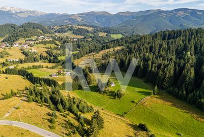 Teren de vanzare in Fundata, Brasov – panorama spectaculoasa COMISION 0% - 1