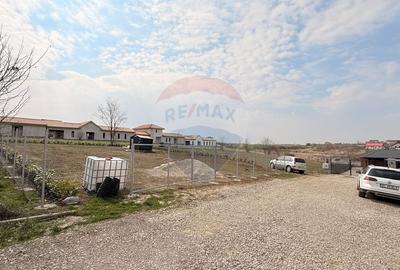 Teren intravilan lângă lac | 547 mp Peninsula Balotesti - 5