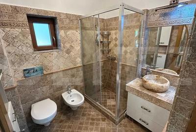 Apartament 5 camere, 135 mp, terasa 250 mp, zona Visani - 16