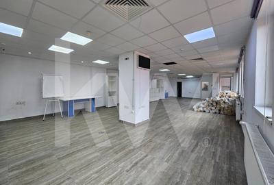 Birou, 130 mp în Turnișor - 1