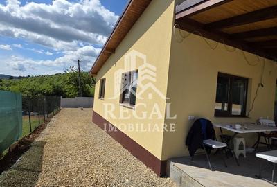 Casă de vânzare – Teliucul Inferior | Construcție nouă 2025 | 3 camere - 11