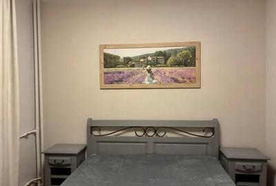 Apartament 2 Camere,Tineretului,Metrou,Mobilat Utilat,Balcon,Geam Baie,et.3/10. - 7