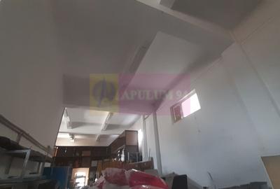 Vilă Mare în Voluntari - 35
