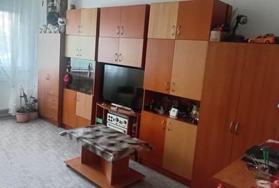 Apartament 3 camere in zona Dunarii Intre Lacuri - 1