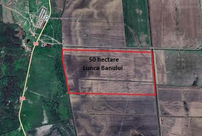 50 Ha Teren Compact – Lunca Banului (Husi) – Irigabil & Potențial Energetic - 1