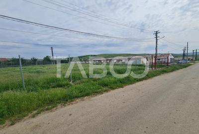 Hala in constructie cu teren intravilan de vanzare in Cut judetul Alba - 4