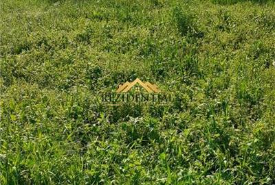 TEREN INTRAVILAN - TULBURENI - 2