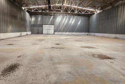 Hale depozit-productie industriala la 20 km de TM - 9