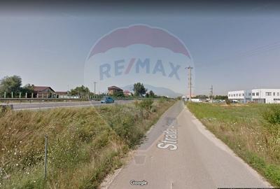 Teren 2Ha  Drumul Intre Tarlale - A2, pretabil hale + birou (Glina) - 9
