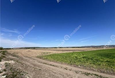 Teren intravilan de 8150 mp situat in Sibiu zona Calea Surii Mici - 3