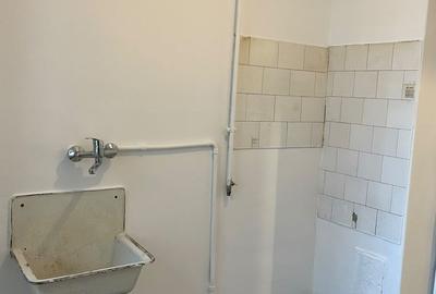 Apartament ultracentral, zona strazii Petru Maior - 13