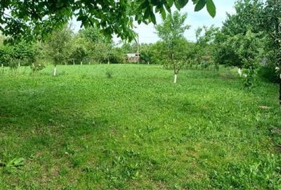 Vand 3413 mp teren intravilan - 4