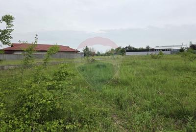 Teren intravilan, 752 mp, Bolintin-Deal, Giurgiu - 5