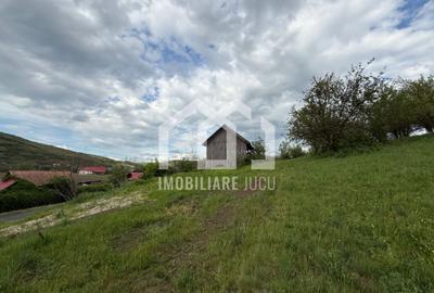 Teren intravilan construibil – 2.100 mp | Căianu - 3