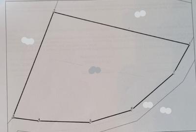 Teren in Chinteni langa padure 1425mp front 70ml - 1