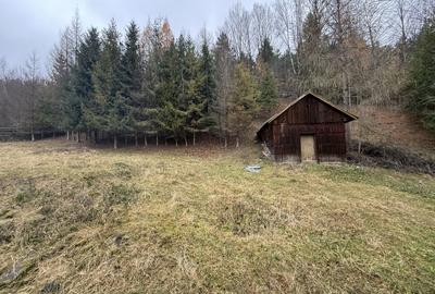Casa Sucevița | 4.000 mp teren | Zonă liniștită - 17