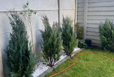 2 camere decomandat, curte proprie București-Prelungirea Ghencea - 14