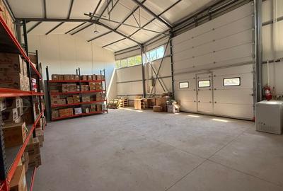 Zona industriala Hala Noua,ideala depozitare zona logistica. - 8