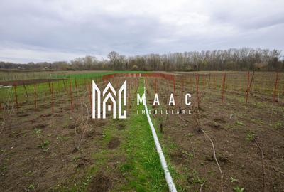 CASA DE VANZARE|  2087 MP TEREN| COMUNA FARTATESTI| - 12