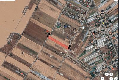 Teren Parcelat 5000 mp Dobreni - 1