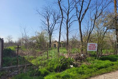 Teren intravilan intre case - 2079 mp - Movilita - 5