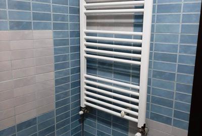 Grozavesti - Bld Regiei -  Garsoniera 40 mp - CENTRALA PROPRIE - 9