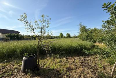 Teren de 3360 mp în exclusivitate, Sânmihaiu Român, vedere la Bega - 1