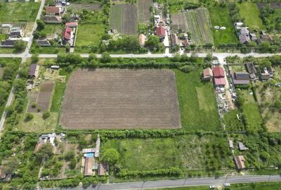 Teren Intravilan de 3,090 mp în Cuvin - 17