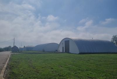 Industrial PARK for Sale – 4 Warehouses with Land, Near Bucharest (INTRAVILAN) - 24