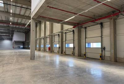 Hală industrială de închiriat Arad ZI West A1, acces TIR, Su 5114 mp - 2