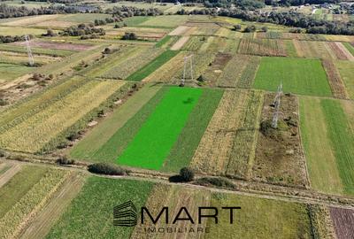 Teren extravilan de vânzare –5000 mp, Șelimbăr (Mohu) - 2