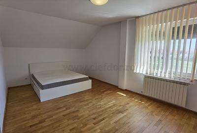 Vila Individuala cu Piscina in zona Iancu Nicolae - 18