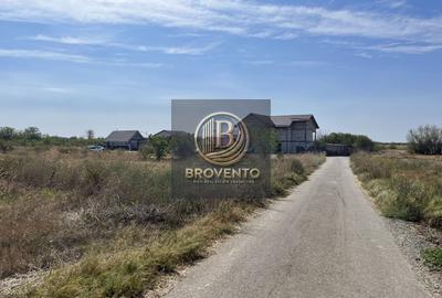 Teren Adunatii Copaceni-Strada Dealului - 3