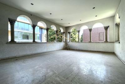 4 rooms ***203 SQM useful*** / 38 SQM terrace + garage / Primaverii - 15