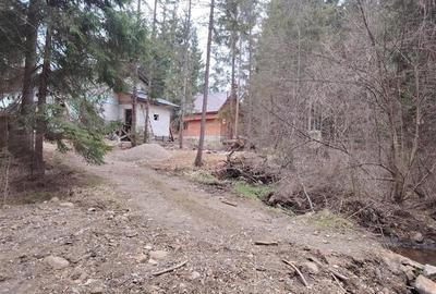 Casa de vacanta nefinalizata (Borzont) - 13