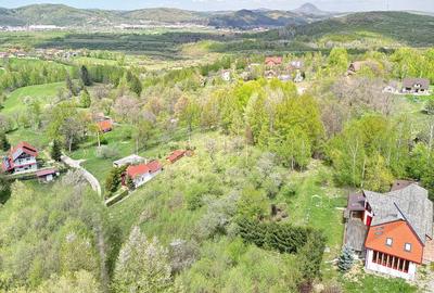 Teren intravilan Bran- Predelut - 20