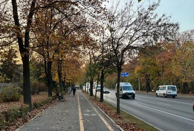 4 CAMERE CU TERASA LOCATIE UNICA: AVIATORILOR-ARCUL DE TRIUMF - 1