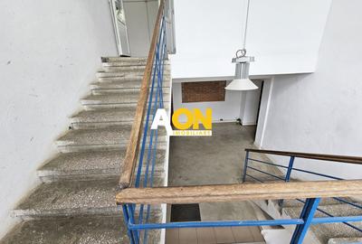 Spatiu industrial pentru productie sau depozitare, 1600 mp, Sebes - 10
