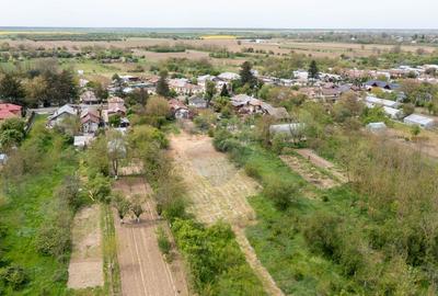 Teren 6.000 mp de vanzare - deschidere la drum principal | Ogrezeni, G - 3