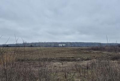 Teren intravilan 49309 mp - sos. De Centura pentru Parcuri Logistice si Hale - 1