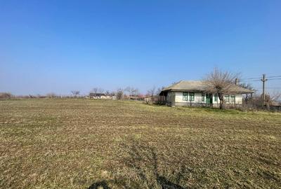 Teren pretabil Investitie in Comuna Daieni Bratul Macin Dunarea Veche Ostrov - 7