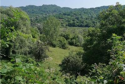 Teren Construcții intravilan de 11230 mp, în Breaza de Sus