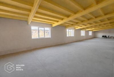 Hala moderna, pretabila pentru birouri, depozitare, 1094mp, etaj1, zona Aeroport - 7