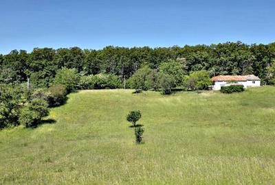 Teren si casa de vanzare in Fasca, 24000 mp , langa padure, 45 km de Oradea - 2