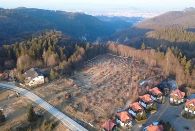 Teren 28.000mp Poiana MIca intre Monterai si Grand Chalet - 5