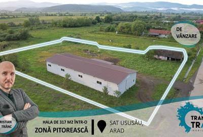 Spațiu industrial, 317 mp în Ususău